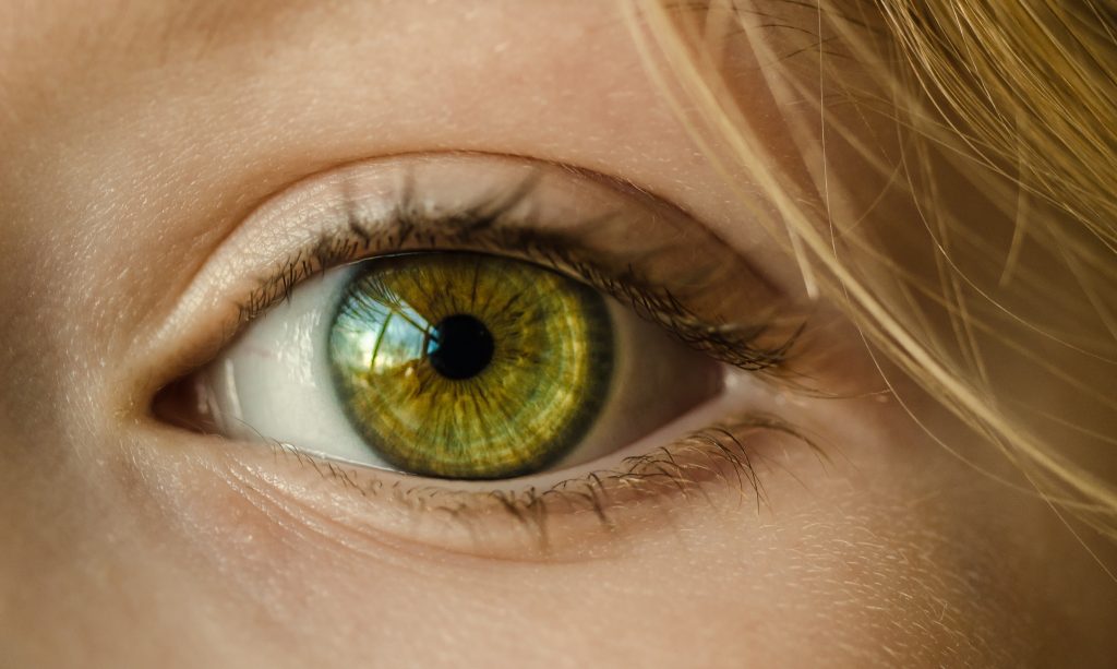 Œil d'une femme pris en gros plan - œil vert de femme