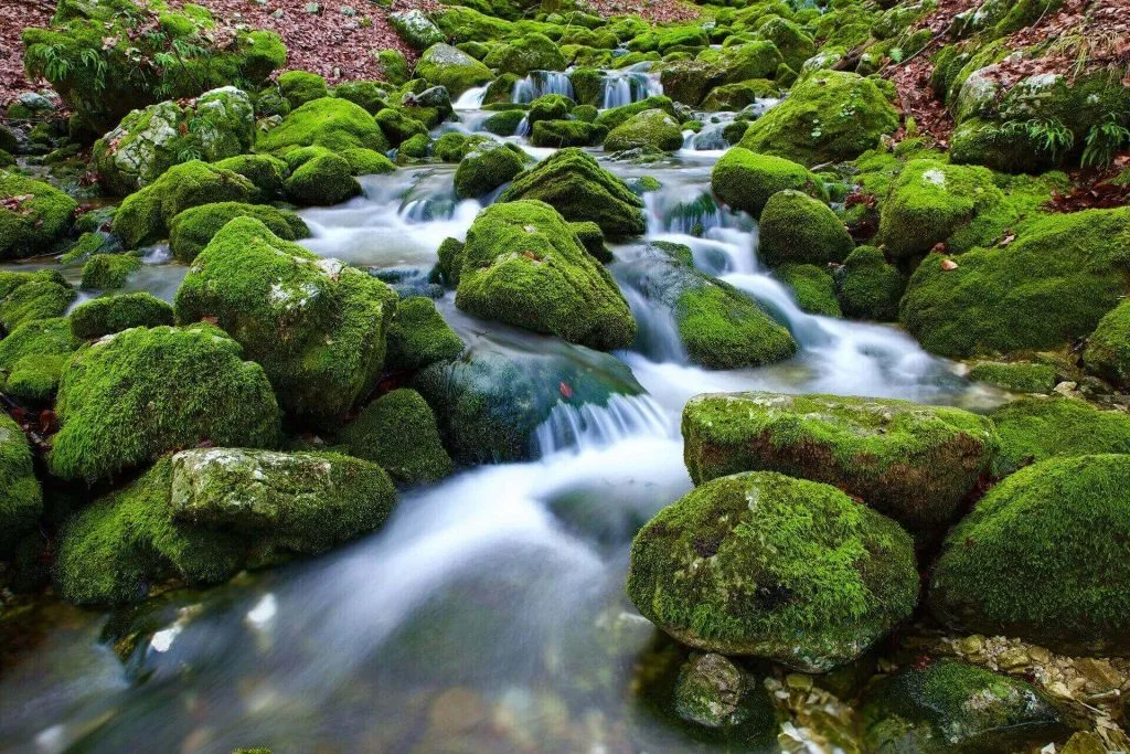 Brocéliande Bretagne. Les Ateliers d'Aude-Valérie