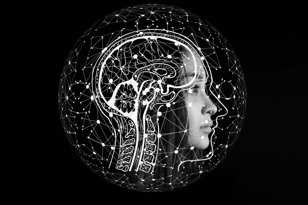 cerveau hypersensibles