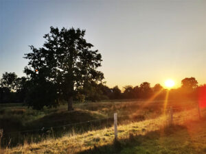 Vue sur la campagne et soleil couchant au Rheu