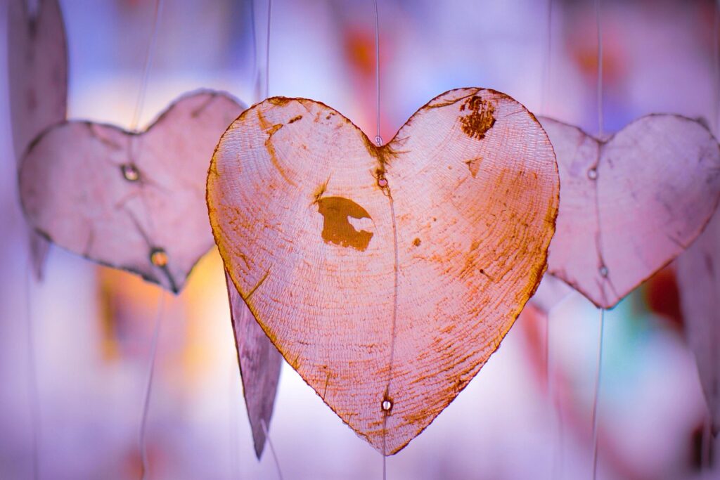 guirlande de coeurs translucides