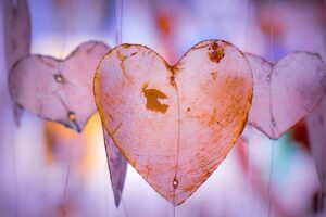 guirlande de coeurs translucides